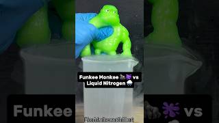 Funkee Monkee 🦍🫟 vs Liquid Nitrogen 🌧️ #Satisfying #Experiment #Science #ASMR #LiquidNitrogen