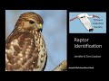 Raptor Identification Workshop