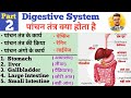 Digestive system in hindi     stomach  liver  small intestine  large intestine  hcl