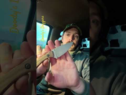 My favorite fixed blade  - SPk Shark