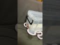 小さな白蛇とプラ箱