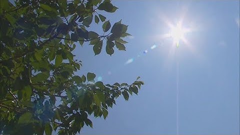 Understanding the UV index to stay safe in the summer sun