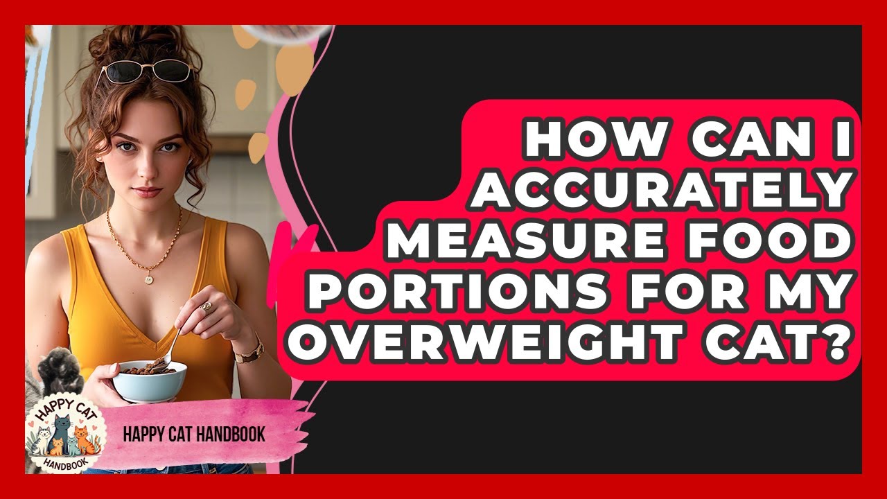 How Can I Accurately Measure Food Portions For My Overweight Cat? - Happy Cat Handbook