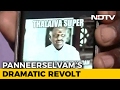 With revolt, Panneerselvam is having a bit of a social media moment