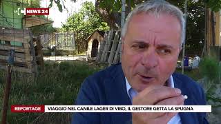 Viaggio Nel Canile Lager Di Vibo, Il Gestore Getta La Spugna