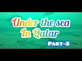 கூட்டமாக சேர்ந்து அழகாக நீந்தி செல்லும் மீன்கள் /Under the sea in Qatar /Qatar tamil menavan(QTM)