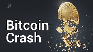 Bitcoin Crash History: Top 5 Bitcoin Crashes (Yet BTC lives on!)