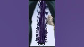 king,saitama vs centipede part 1#short #anime #onepunchman #saitama #indonesia