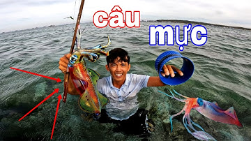 Thử Thách Câu Mực Lá Trên Biển | squid fishing in the sea