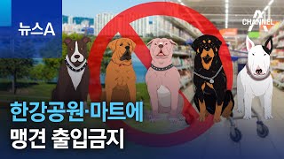 한강공원·마트에 맹견 출입금지 | 뉴스A