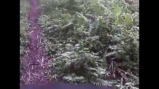 2012-04-22_05.46.22_00019.mp4