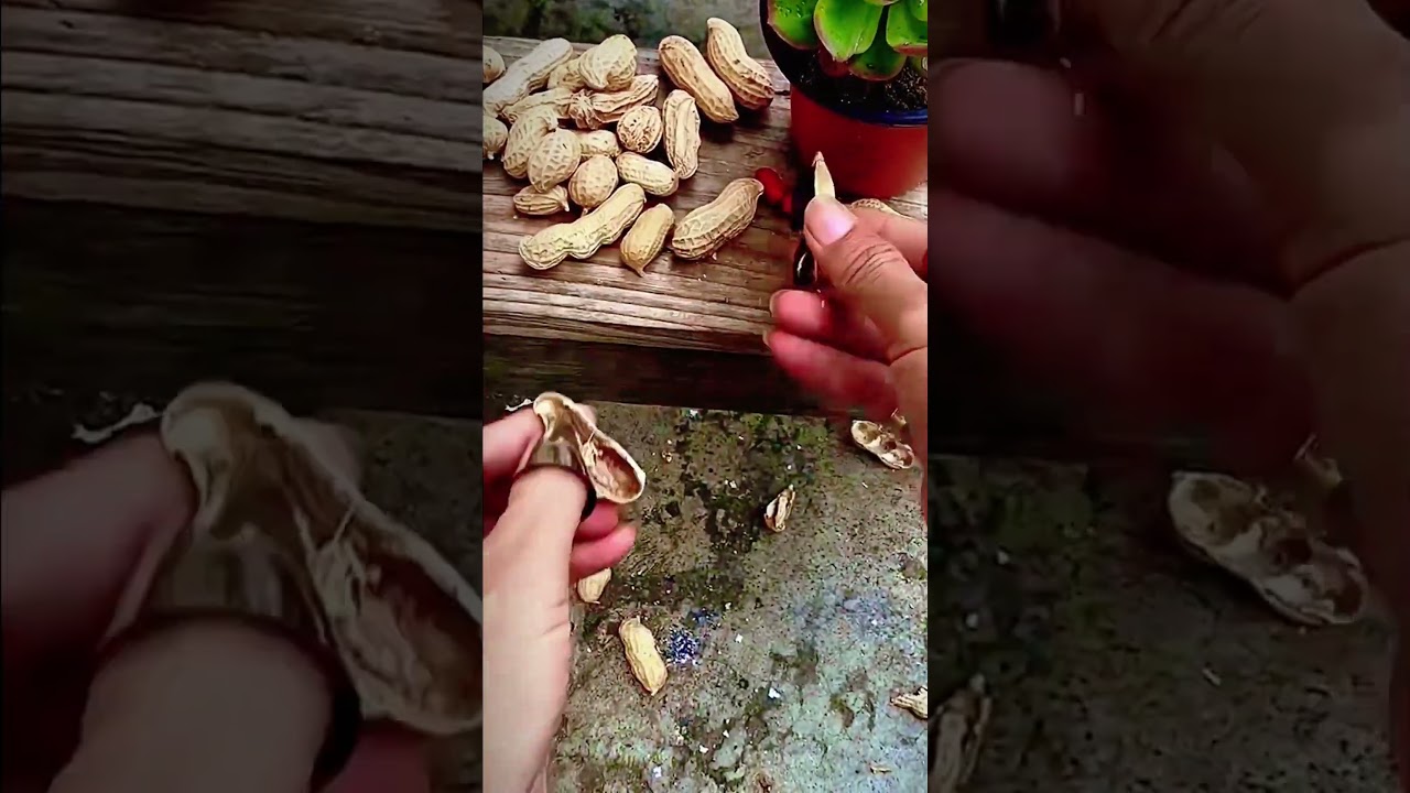 creative tool for peeling peanut skin 