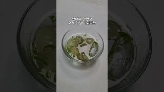 #오이지냉국 으로 더운 여름도 시원하게 날려 버려요 / 아무런 치장없이 깔끔해서 어떤 요리에도 잘 어울리는 반찬/ 완전 초초간단반찬 #레시피 #삔녀의레시피