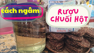 Cách Ngâm Rượu Chuối Hột "Ép Miếng" - Đơn Giản Nhất Để Sử Dụng