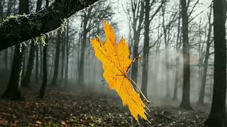 Yaşarken Öldüm Ben - Fay Hattı Beats