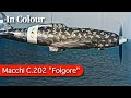 Macchi c202 folgore footage  regia aeronautica in ww2 ai 60fps colourized