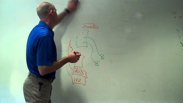 Cisco VoIP Phone System Overview