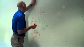 Cisco VoIP Phone System Overview