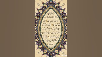 تلاوة القرآن الكريم  🌼  أللهم  اجعل القرآن ربيع قلوبنا ونور