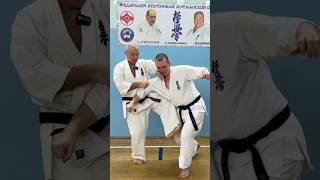 Кёкусинкай #1096/ Каратэ Мурманск / Поларбудо / Бункай ката Гэкисай дай (2025 г.)