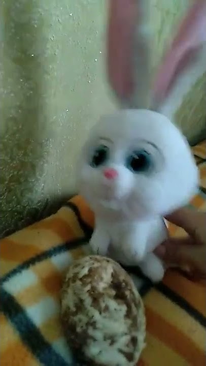 😂 - YouTube