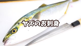 ヤズ のさばき方 お刺身 Youtube ヤズ のさばき方 お刺身 Youtube