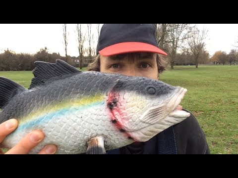 How to fish like a boss
