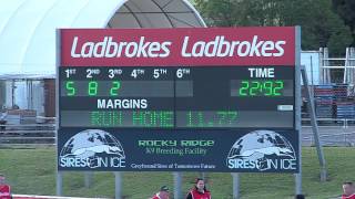 GARDENS-21072017-RACE-2