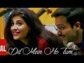 Dil mei ho tum song     vivek kumarsmule song