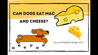 Can Dogs Eat Mac and Cheese?