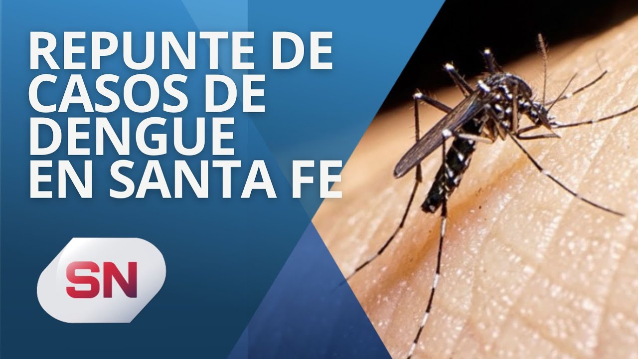 REPUNTE DE CASOS DE DENGUE EN SANTA FE - YouTube