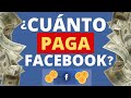 Cuánto paga Facebook por 100 mil reproducciones | Anuncios In stream | D'Renter