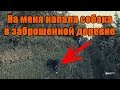 Нападение собаки Жуткая хижина в лесу Заброшенная деревня