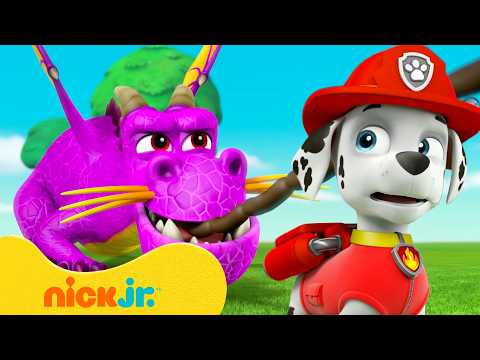 Paw Patrol | ¡Maratón lleno de acción de Cachorros al Rescate! | 1 hora | Nick Jr. en Español
