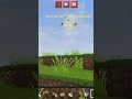 gang is end 😭 #minecraft