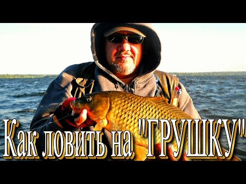 "Как ловить на  "Грушку" сазана, судака" - проводки.