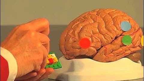 Use The Brain To Identify and Assist Problem Readers