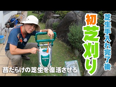 芝生の苔、もう悩まない！プロが教える永久対策5ステップ