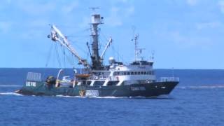 Saving Our Tuna - UNDP-Discovery Channel Documentary