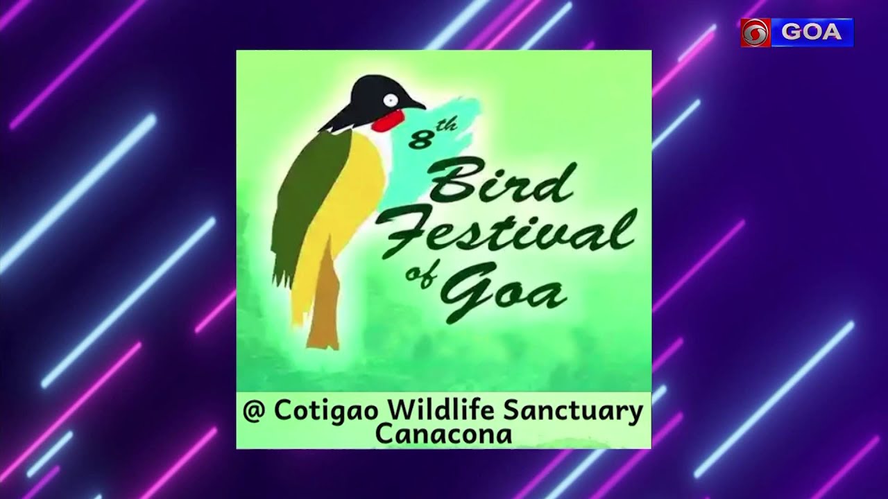 8th Bird Festival of Goa 2025 - Day 3
