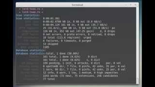How To Use SkipFish