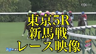 【リクエスト】11/1 東京5R 新馬戦 レース映像