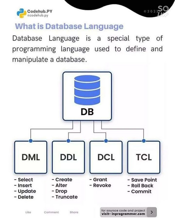 DBMS Language Database Language #dbmstutorials #database - YouTube