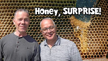 How My Honey Bees Went From DYING to EXPLODING! Ep. 282.