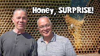 How My Honey Bees Went From DYING to EXPLODING! Ep. 282.