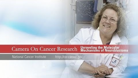 Camera on Cancer Research: Unraveling the Molecular Mechanisms of Neuroblastoma