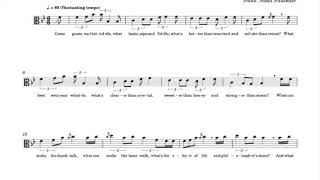 Hozier - The Humours of Whiskey (a cappella) | ALTO CLEF Transcription