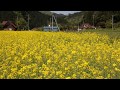 いつかまた浪江の空を 浪江町の風景