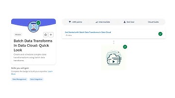 Batch Data Transforms in Data Cloud: Quick Look - Salesforce Trailhead