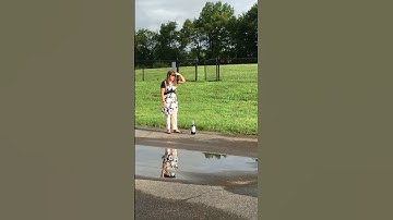 Proactive vs. Reactive